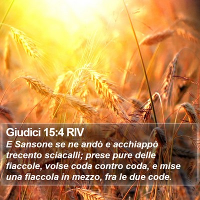 Giudici 15:4 RIV Bible Verse Image