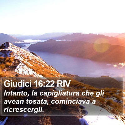 Giudici 16:22 RIV Bible Verse Image