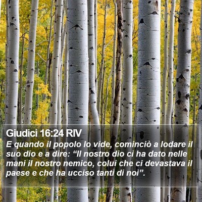 Giudici 16:24 RIV Bible Verse Image