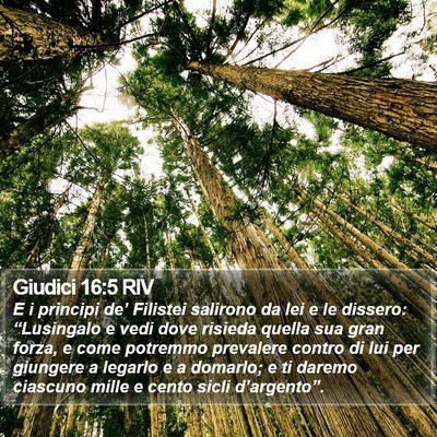 Giudici 16:5 RIV Bible Verse Image