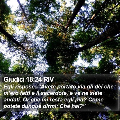 Giudici 18:24 RIV Bible Verse Image