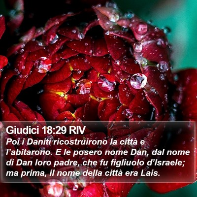 Giudici 18:29 RIV Bible Verse Image