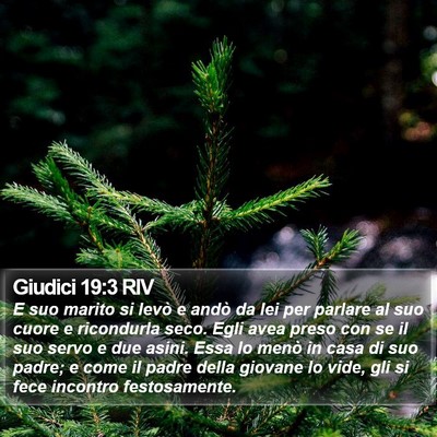 Giudici 19:3 RIV Bible Verse Image