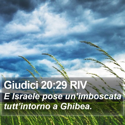 Giudici 20:29 RIV Bible Verse Image