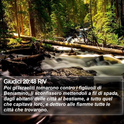Giudici 20:48 RIV Bible Verse Image