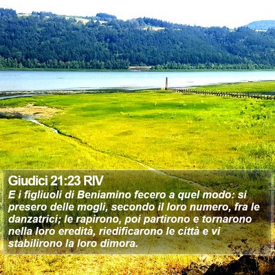 Giudici 21:23 RIV Bible Verse Image