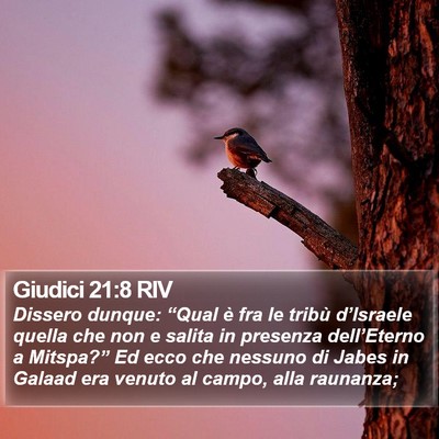 Giudici 21:8 RIV Bible Verse Image