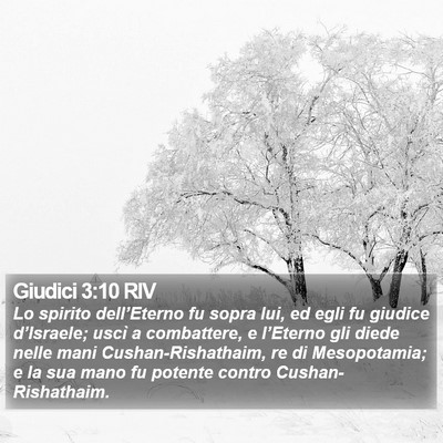 Giudici 3:10 RIV Bible Verse Image