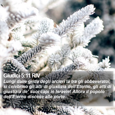 Giudici 5:11 RIV Bible Verse Image