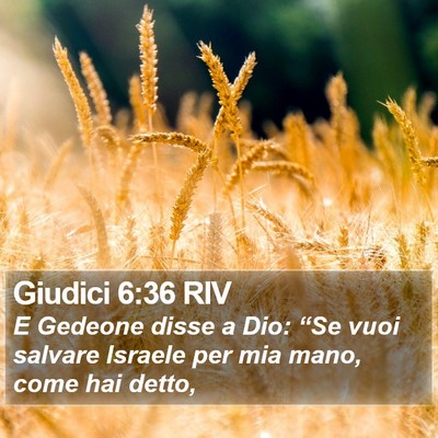 Giudici 6:36 RIV Bible Verse Image