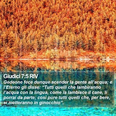 Giudici 7:5 RIV Bible Verse Image