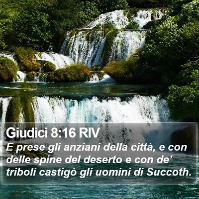 Giudici 8:16 RIV Bible Verse Image