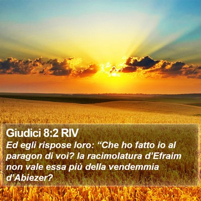 Giudici 8:2 RIV Bible Verse Image