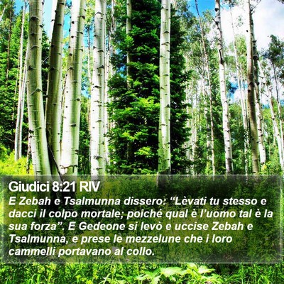 Giudici 8:21 RIV Bible Verse Image