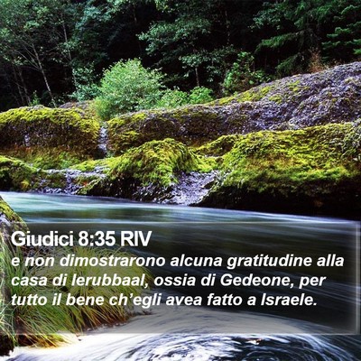 Giudici 8:35 RIV Bible Verse Image
