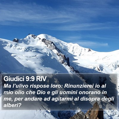 Giudici 9:9 RIV Bible Verse Image