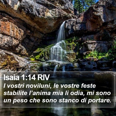 Isaia 1:14 RIV Bible Verse Image