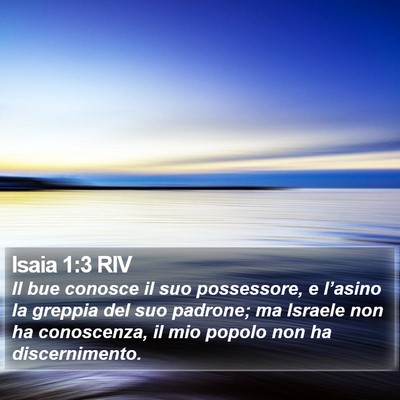 Isaia 1:3 RIV Bible Verse Image