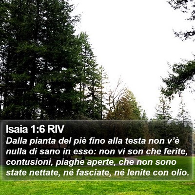 Isaia 1:6 RIV Bible Verse Image