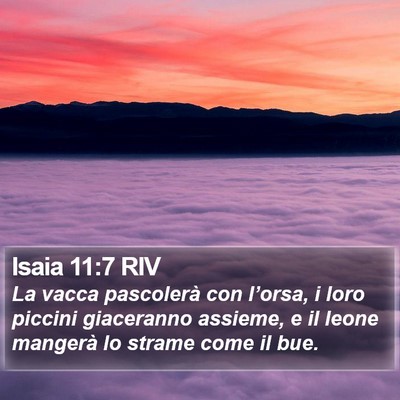 Isaia 11:7 RIV Bible Verse Image