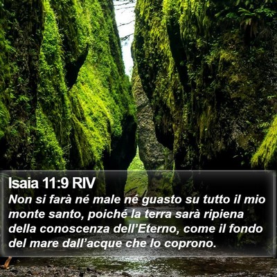 Isaia 11:9 RIV Bible Verse Image