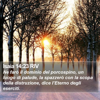 Isaia 14:23 RIV Bible Verse Image