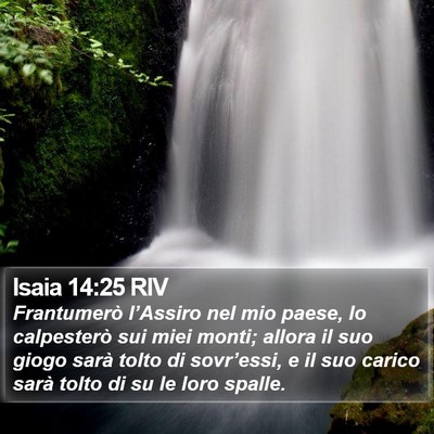 Isaia 14:25 RIV Bible Verse Image