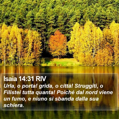 Isaia 14:31 RIV Bible Verse Image