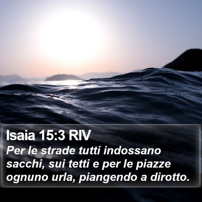 Isaia 15:3 RIV Bible Verse Image