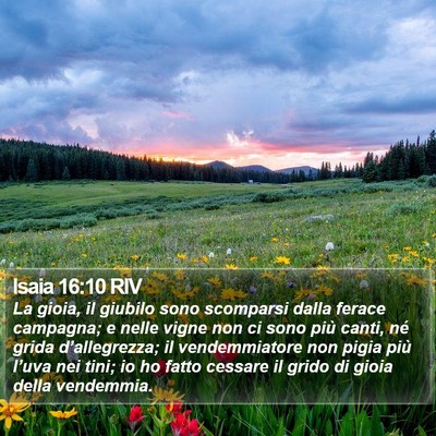 Isaia 16:10 RIV Bible Verse Image