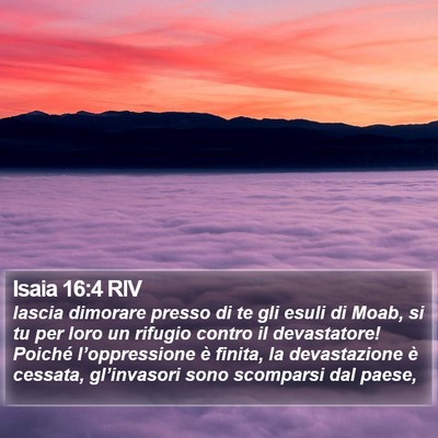 Isaia 16:4 RIV Bible Verse Image