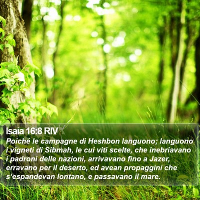 Isaia 16:8 RIV Bible Verse Image