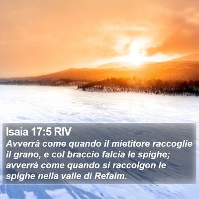 Isaia 17:5 RIV Bible Verse Image