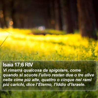 Isaia 17:6 RIV Bible Verse Image