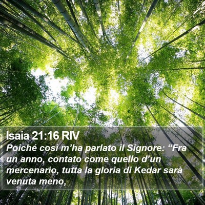 Isaia 21:16 RIV Bible Verse Image