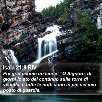 Isaia 21:8 RIV Bible Verse Image