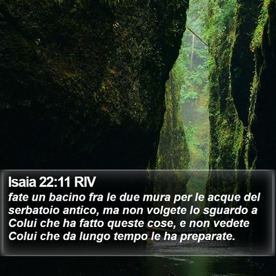 Isaia 22:11 RIV Bible Verse Image