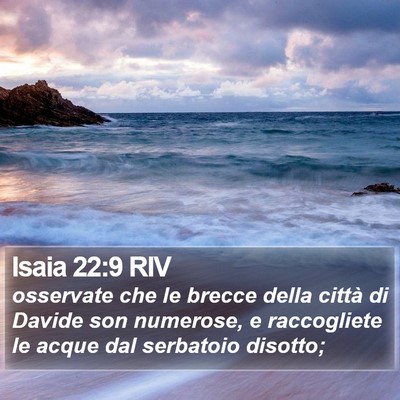 Isaia 22:9 RIV Bible Verse Image