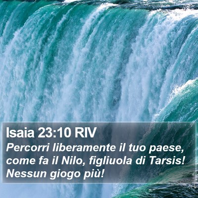 Isaia 23:10 RIV Bible Verse Image