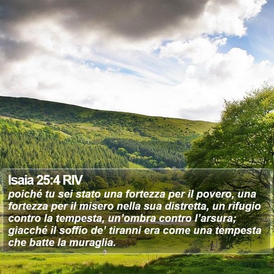 Isaia 25:4 RIV Bible Verse Image