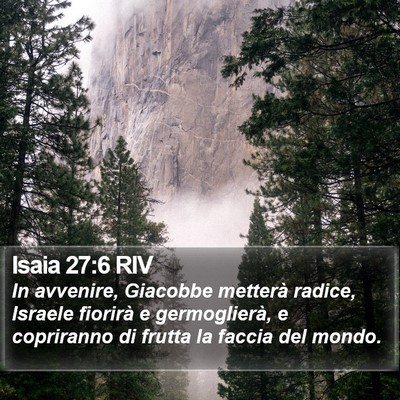 Isaia 27:6 RIV Bible Verse Image