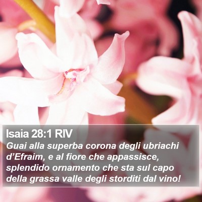 Isaia 28:1 RIV Bible Verse Image