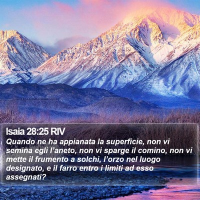 Isaia 28:25 RIV Bible Verse Image