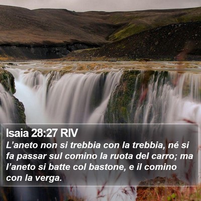 Isaia 28:27 RIV Bible Verse Image
