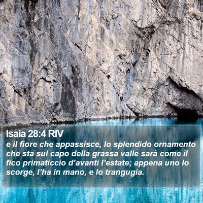Isaia 28:4 RIV Bible Verse Image
