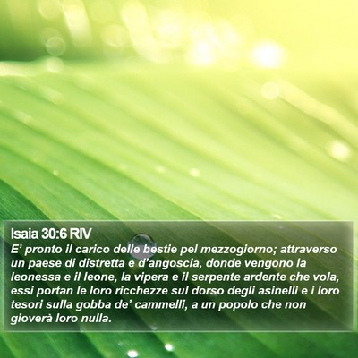 Isaia 30:6 RIV Bible Verse Image