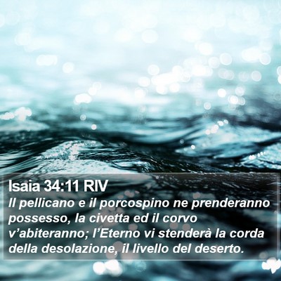 Isaia 34:11 RIV Bible Verse Image