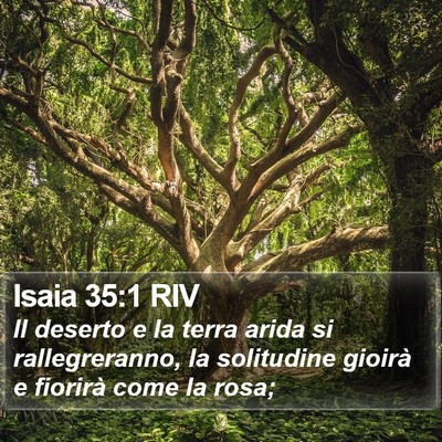 Isaia 35:1 RIV Bible Verse Image