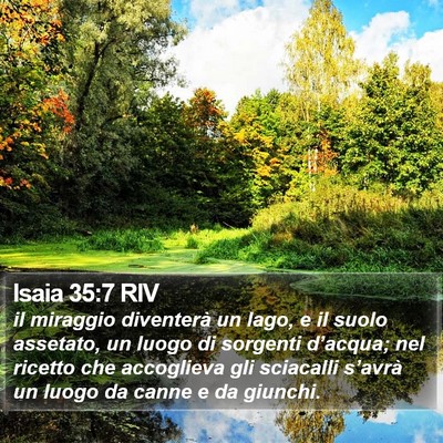 Isaia 35:7 RIV Bible Verse Image