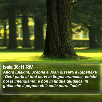 Isaia 36:11 RIV Bible Verse Image